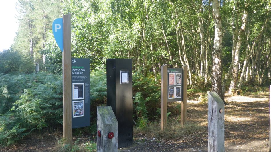 2020-08-20 01 Sandlings 5 - Rendlesham Forest.jpg